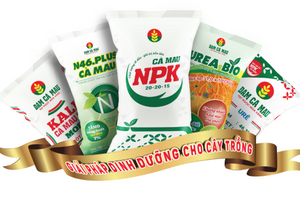 Đạm Cà Mau (DCM) mang 10.000 tỷ đi gửi ngân hàng, lợi nhuận giảm sút 70% cùng kỳ