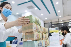 Thủ tướng chỉ đạo NHNN thanh tra, kiểm tra hoạt động cấp tín dụng, cơ cấu nợ của các ngân hàng