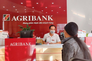 Agribank báo lãi 13.200 tỷ đồng, giảm 12% vẫn vượt qua một ông lớn Big 4 khác