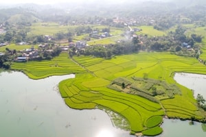 Gần 400 ao, hồ tại Thái Nguyên không được phép san lấp