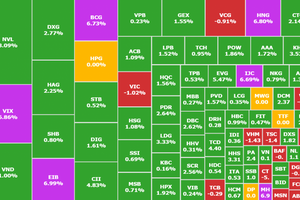 VIX, BCG, EIB, HNG đóng cửa tăng trần, cổ phiếu họ Vin bị bán trở lại