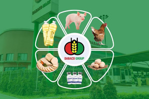 Dabaco: Bức tranh lợi nhuận 6 tháng cuối năm 2023 thế nào?