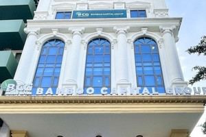 Bamboo Capital: BCG tăng 79%, 5 triệu cổ phiếu của Phó Chủ tịch được sang tay