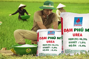 Doanh nghiệp phân bón “nhà” Đạm Phú Mỹ (DPM) sắp chia cổ tức tỷ lệ 30% bằng tiền