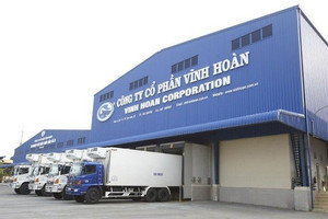 Đầu tư gần 150 tỷ đồng vào cổ phiếu NLG và DXS, Vĩnh Hoàn (VHC) tạm lỗ 47 tỷ đồng