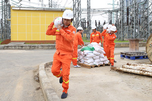 Bảo đảm an toàn truyền tải điện trước diễn biến bất thường của mưa lũ, sạt lở đất