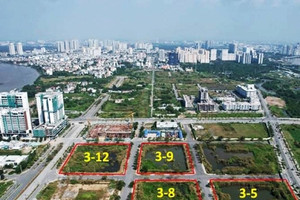 Sửa Luật Đấu giá tài sản, có khắc phục trúng giá đất bỏ cọc như Tân Hoàng Minh?