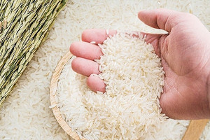 Giá một loại gạo Việt lập kỷ lục lịch sử, bỏ xa Thái Lan