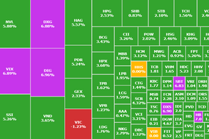 VN-Index tăng 17 điểm, NVL, DXG, DIG tăng trần, cổ phiếu bất động sản bay cao