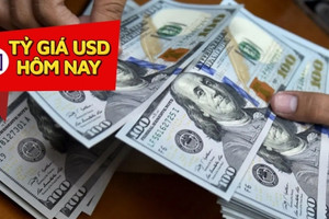 Tỷ giá USD hôm nay 27/8: Đồng USD thế giới xác lập đà tăng sáu tuần liên tiếp