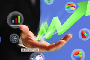 Gần 40 triệu cổ phiếu VFS vừa bán xong, những ai đã xuống tiền mua?
