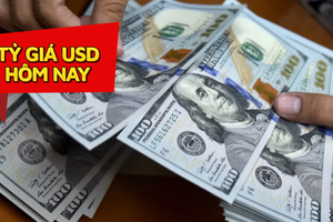 Tỷ giá USD ngày 28/8: Trái với dự báo, bất ngờ giảm đầu phiên