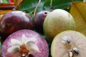 Loại quả chỉ độc nhất Việt Nam xuất khẩu, Mỹ, Trung mua ào ào bất chấp có lúc giá bán gần 500.000 đồng/kg