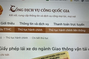 Cách đổi giấy phép lái xe trực tuyến nhanh chóng, chính xác nhất