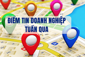 Điểm tin doanh nghiệp tuần qua: Novaland, Bùi Cao Nhật Quân, Trustlink, HAGL... là tiêu điểm