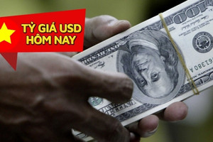 Tỷ giá USD hôm nay 2/9: Tăng mạnh