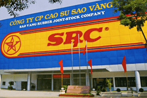 Thương hiệu 60 năm tuổi dưới thời Chủ tịch Hoành Sơn kinh doanh ra sao?