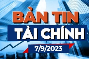 Bản tin tài chính sáng 7/9: Giá vàng và dầu giảm, USD tăng cao
