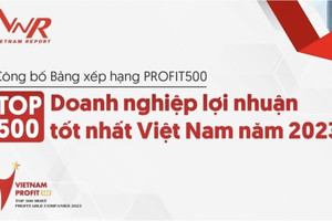 10 doanh nghiệp lợi nhuận tốt nhất năm 2023: Hoà Phát out top, nhóm ngân hàng gây bất ngờ