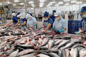 Thủy sản lấy lại đà cân bằng để đẩy mạnh xuất khẩu