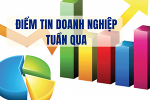 Điểm tin doanh nghiệp tuần qua: Nhật Nam, Novaland, lừa tiền, phá sản... là tiêu điểm