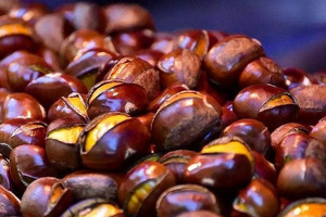 Loạt hạt là “vua của trái cây khô”, tốt ngang nhân sâm, hễ vào đông giá lại tăng vọt