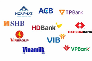 TCB, ACB, HDB,... góp mặt trong top 10 doanh nghiệp tư nhân lợi nhuận tốt nhất 2023