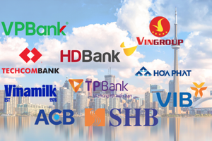 TOP 10 doanh nghiệp tư nhân lợi nhuận tốt nhất: Techcombank soán ngôi đầu, ấn tượng HDBank và TPBank