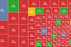 VN-Index giảm gần 18 điểm, chứng sĩ "sáng ăn thịt cá chiều ăn rau"