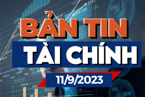 Bản tin tài chính sáng 11/9: Giá vàng hấp dẫn, dầu tăng, USD hạ nhiệt