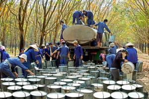 Một doanh nghiệp cao su liên tiếp nhận ba quyết định xử phạt về thuế