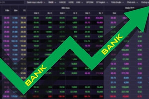 Diễn biến nhóm cổ phiếu ngân hàng 11/9: 5.000 tỷ đồng đổ vào nhóm ngân hàng