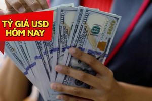 USD tăng nhiệt, tỷ giá trung tâm chính thức vượt mốc 24.000 đồng/USD