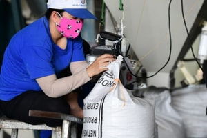 Giá gạo xuất khẩu giảm mạnh, doanh nghiệp Việt vẫn trúng hợp đồng lớn giá cao