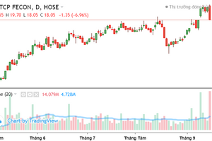 Cổ phiếu Fecon (FCN) xác nhận đảo chiều sau tin không có lợi