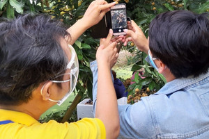 Bộ TT&TT sẽ phát hành cẩm nang 'Làng số' vào tháng 10