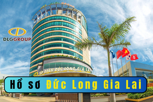 Đức Long Gia Lai (DLG) - từ doanh nghiệp ăn nên làm ra đến thua lỗ nghìn tỷ, do đâu?