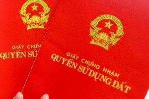 Khởi tố nguyên chủ tịch phường ở Đồng Nai liên quan vụ chiếm đoạt 53 thửa đất