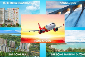 6 tháng sau hợp nhất các hoạt động kinh doanh, Sovico báo lãi 1.547 tỷ đồng