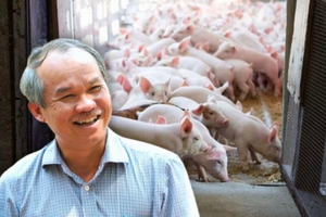 Từng đưa bầu Đức lên ngôi NO.1 người giàu trên sàn chứng khoán, HAGL hiện đang ra sao?