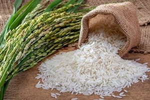 Lộc Trời (LTG) bị phạt và truy thu thuế hơn 6 tỷ đồng