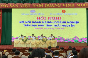 Ngân hàng tích cực hỗ trợ tín dụng cho nhiều dự án đầu tư