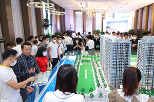 Giải mã nguyên nhân giá đất nền gần như "đóng băng" nhưng chung cư lại tăng không thể hãm