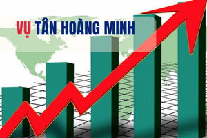 5 công ty chứng khoán tiếp tay vụ trái phiếu Tân Hoàng Minh giờ ra sao?