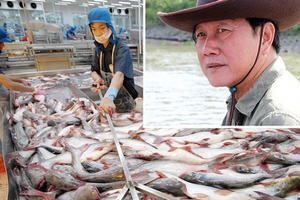 “Vua cá tra” Dương Ngọc Minh sa cơ, tài sản lần lượt về tay những người giàu nhất Việt Nam