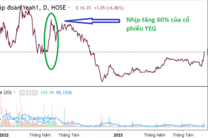 Cổ phiếu YEG tăng 40% sau 6 phiên - chuỗi tăng giá mạnh nhất 17 tháng