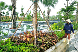 'Mong lãnh đạo TP. Đà Nẵng đặt mình ở vị trí doanh nghiệp để thấu hiểu'