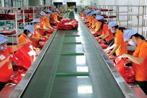 Thuận Đức (TDP) lên kế hoạch phát hành cổ phiếu, trái phiếu để trả nợ ngân hàng