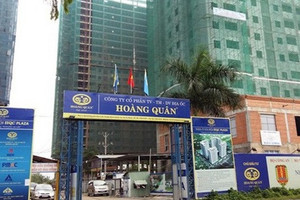 Địa ốc Hoàng Quân: Công ty liên quan đến Chủ tịch gom cổ phiếu, HQC bật tăng trần