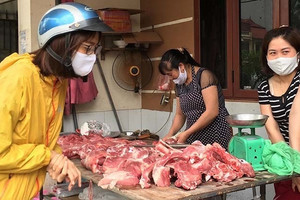 Nhiều trang trại phải bán lợn hơi dưới 50.000 đồng/kg, người nuôi lỗ nặng